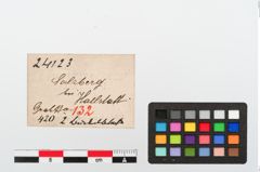 Etiketten zu Bronzescheibe (NHMW-PRAE-024123)